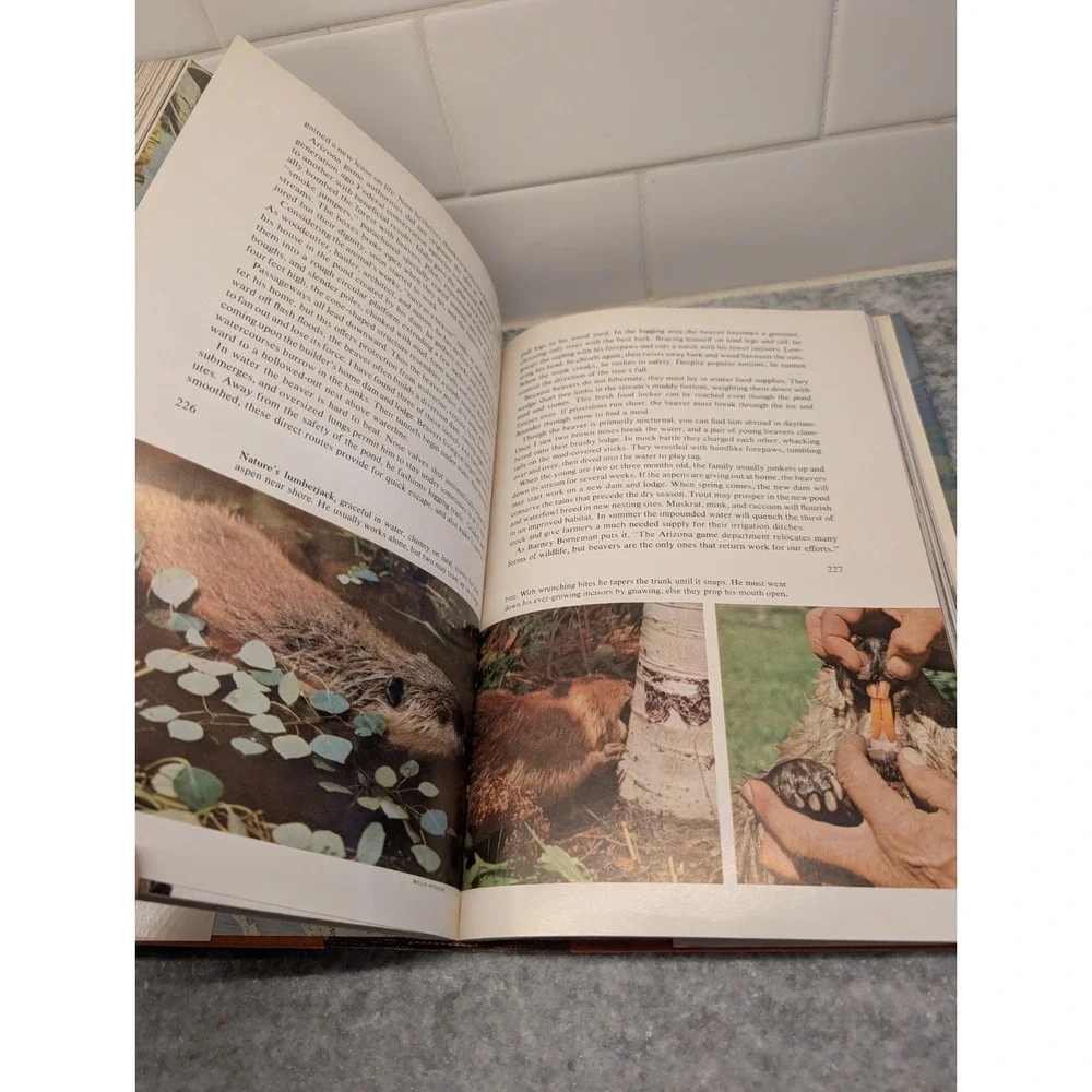 National Geographic Wild Animals Of North America VG HC